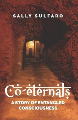 Co-eternals: A Story of Entangled Consciousness by Sulfaro, Sally [Paperback]