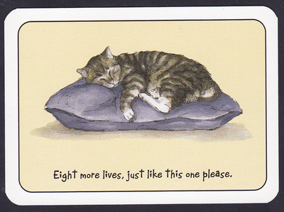 Cat Magnificent Maggies Single Swap Spielkarte