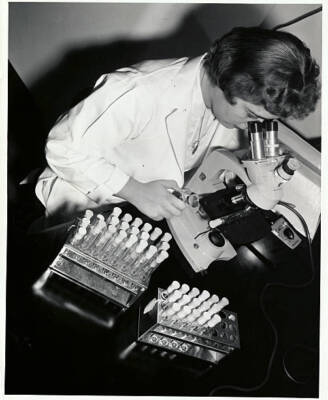Female Chemist Studies A Slide Specimen In A Microscope At A Researc - Old Photo