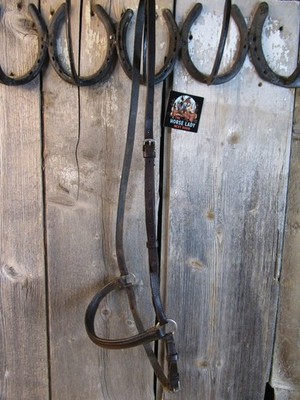 Quality Brown English Caveson-Horse Size