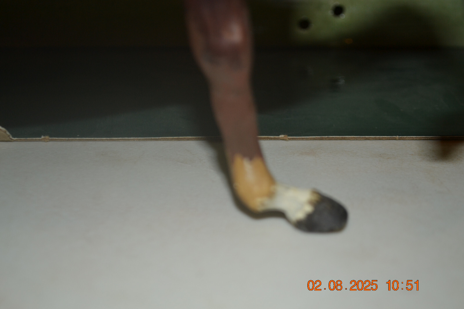 Picture 14 of 15