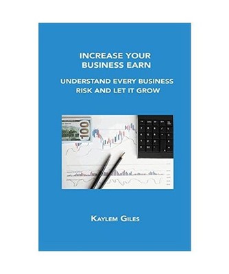 Increase Your Business Earn: Understand Every Business Risk and Let It Grow, Kay