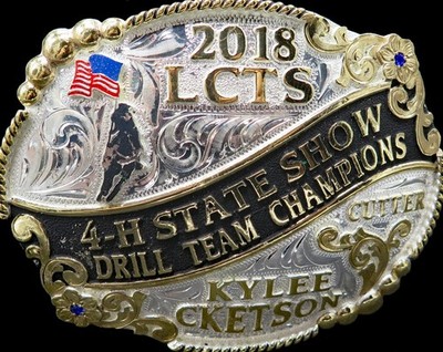 LCTS 4H State Show Drill Team Champions Cutter Kylee Cketson