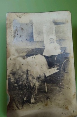 Lot of Photos & Old Pictures And Some Postcards People Family Portrait