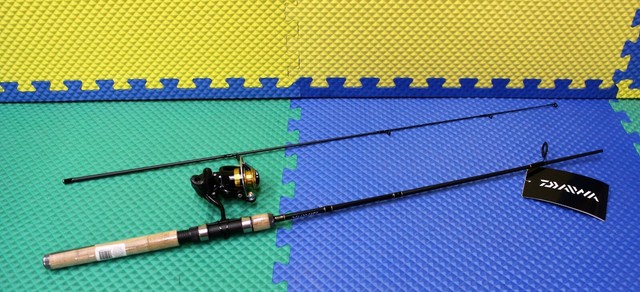 daiwa spinning combo