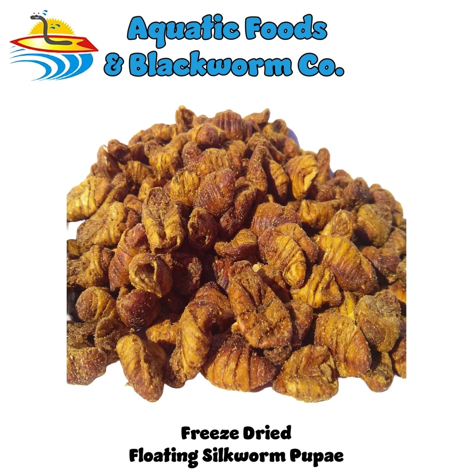 AQUATIC FOODS Silkworm Pupae Freeze Dried for Koi, Pond Fish, Turtles, Large Fish