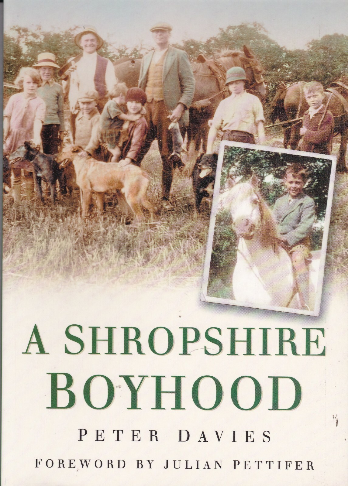 A Shropshire Boyhood by Ron Davies (Paperback) Local History Book