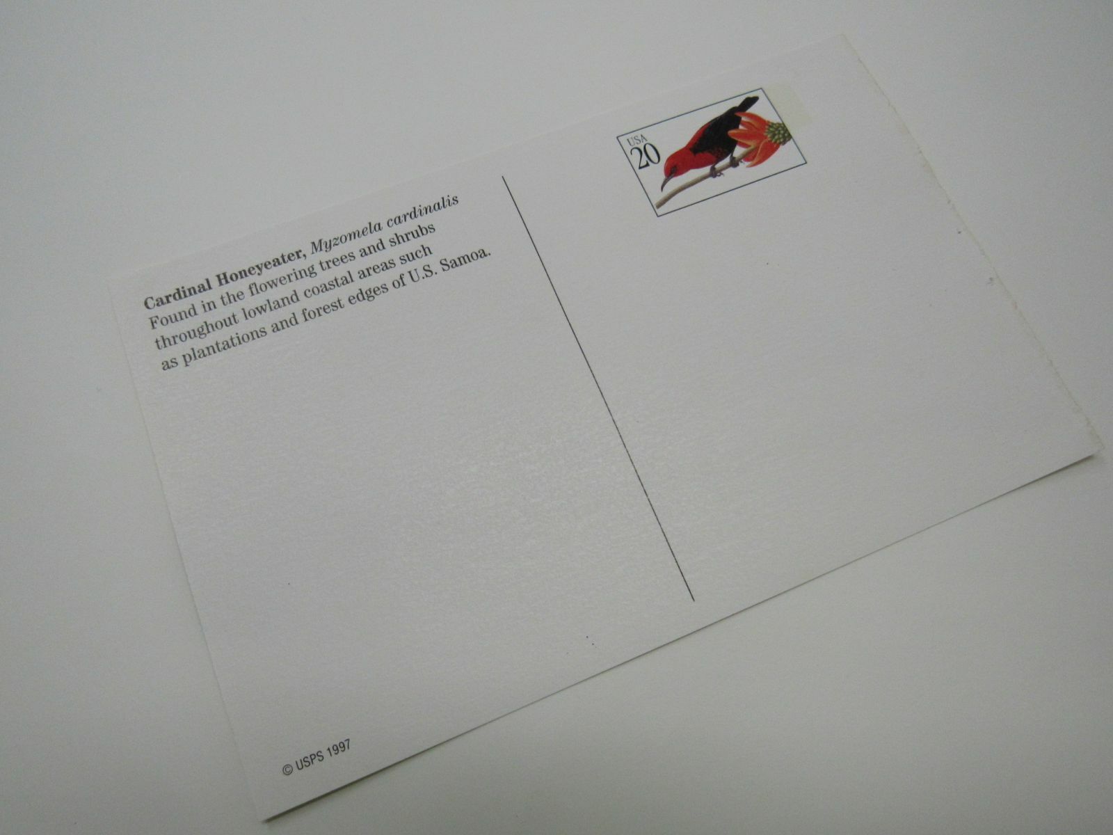 USPS Scott UX296 20c Cardinal Honeyeater Postal Card Tropical Birds