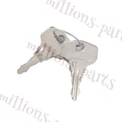 2 Keys 7526.050 7526050 For Rittal SZ, SK, QR Series Latch Lock Enclosure 12321
