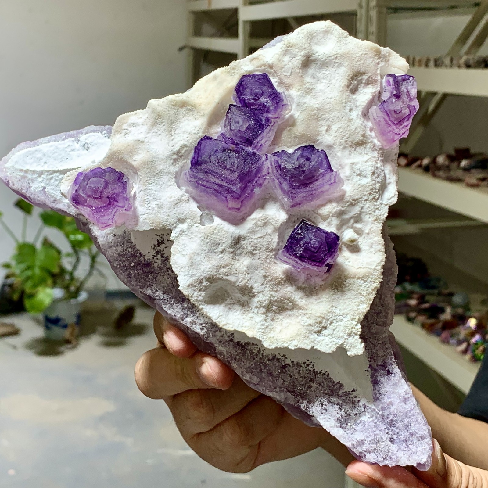 3.03LB Rare Purple Hexagon Cubic Fluorite Crystal from Zhejiang China