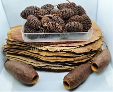 30pcs Grade A Medium Catappa Leaves 30pcs Jumbo Size Alder Cone 3 Cariniana Pods