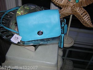 robin egg blue purse