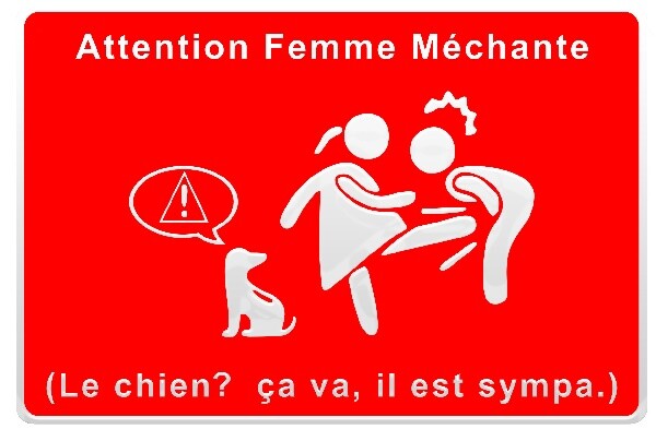 Carte D'Anniversaire Humoristique Pour Homme – To The Mane Man – Lion