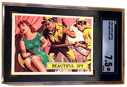 Nakajima Corporation SN Basic Vintage M 174055-22 | eBay