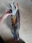Bild 11 von 12