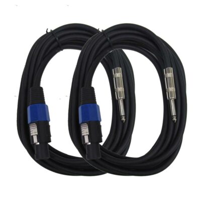 Seismic Audio - Two Pack of Speakon to 1/4'' Speaker Cables 15' NEW Pro Audio