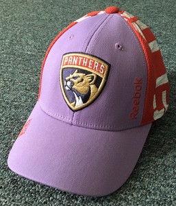 florida panthers hockey fights cancer