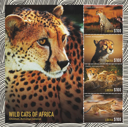 Liberia 2015 - Wild Cats of Africa- sheetlet of 4 MNH