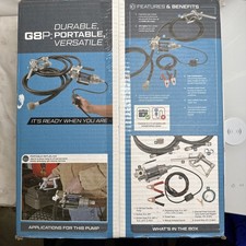 Gpi 147000-01 Fuel Transfer Pump, 12V Dc, 8 Gpm Max. Flow Rate , 1/10 Hp, Cast