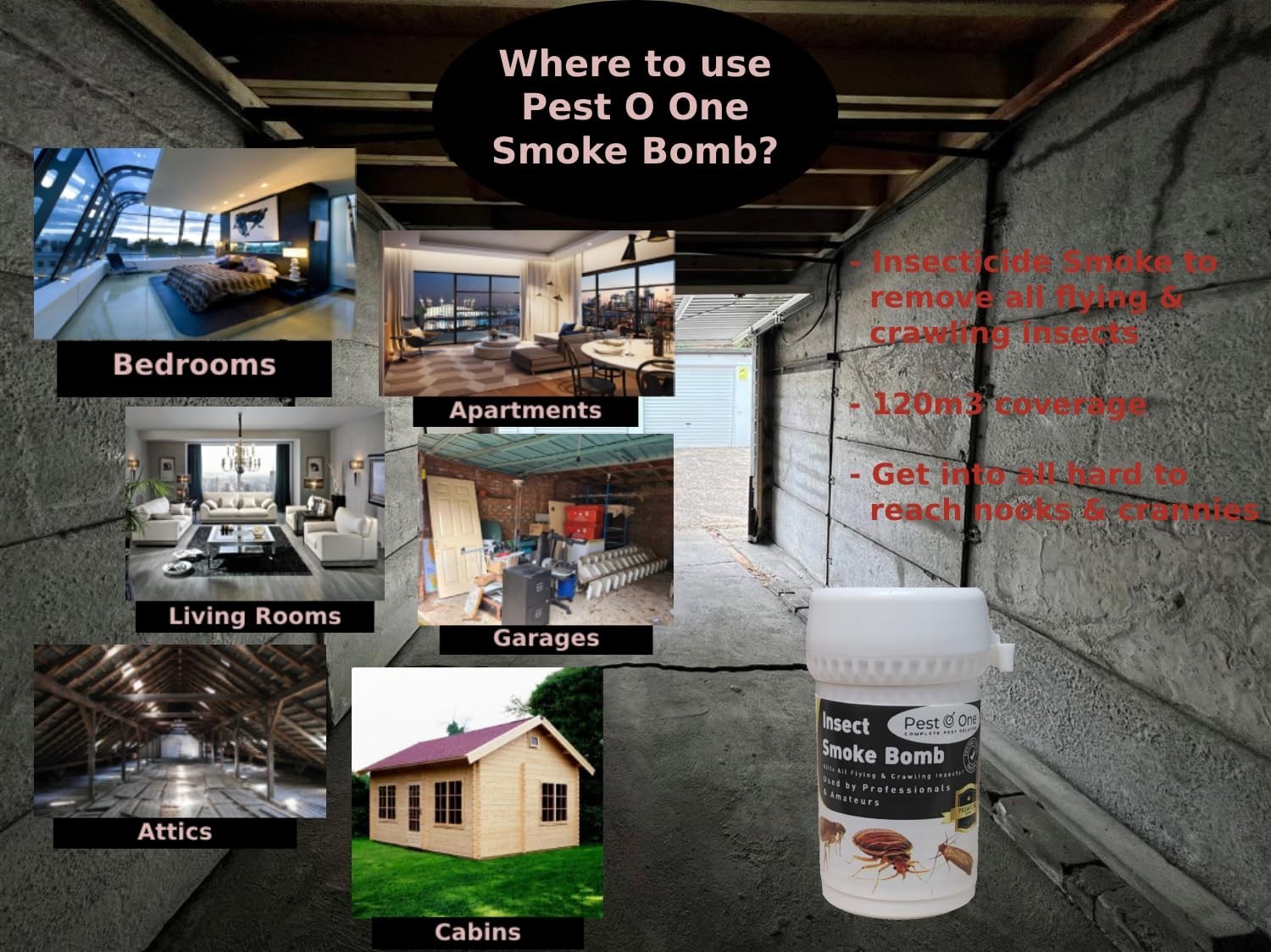 Slide 8