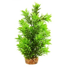 RA Hygro Tree - 8" 2 Pack