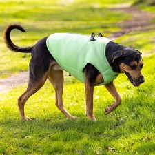 HUNTER  Hunde-Kühlweste 2in1 inkl. Geschirr ...