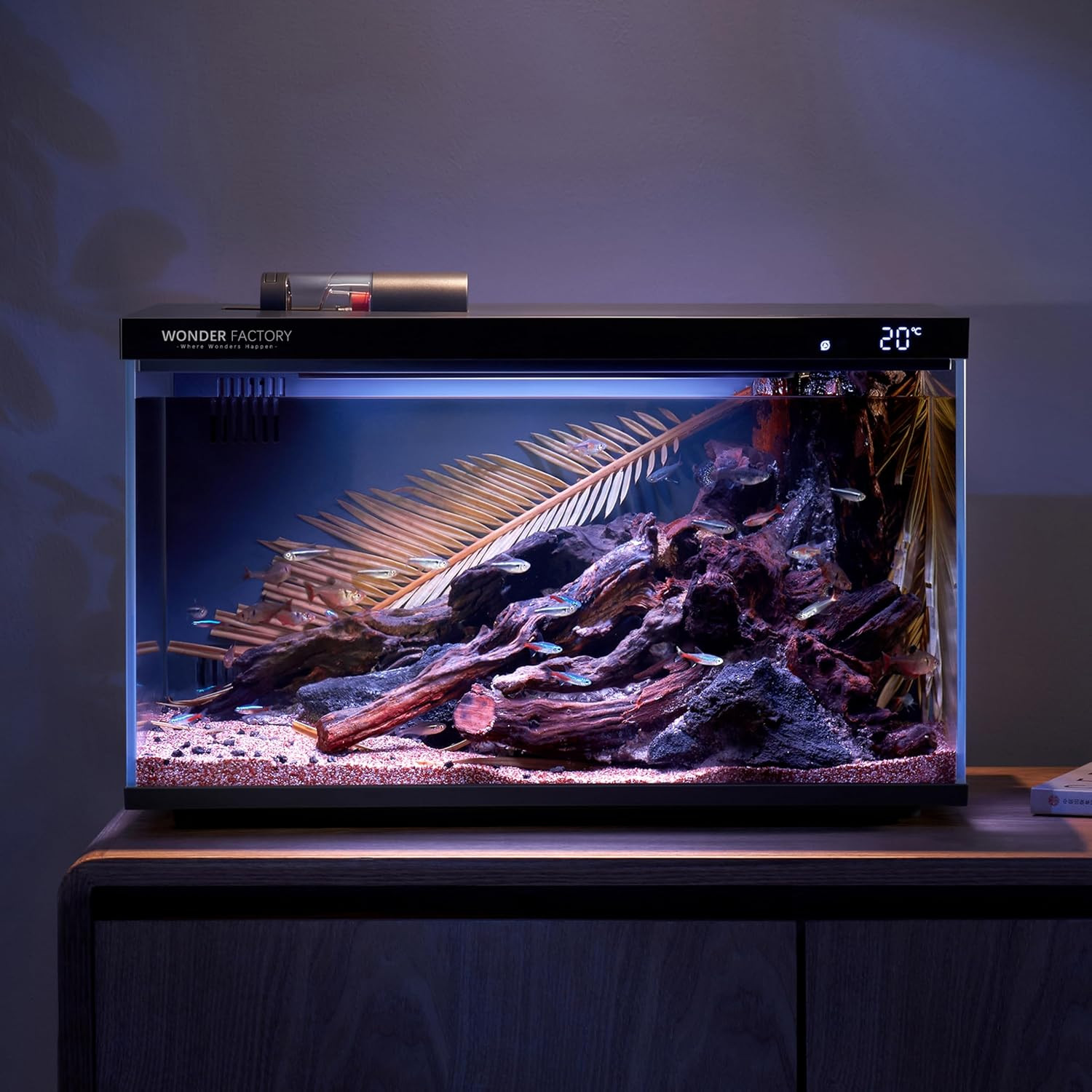 5 Gallon Smart Aquarium Fish Tank Starter Kit, Including Modular Filtration, 7 C