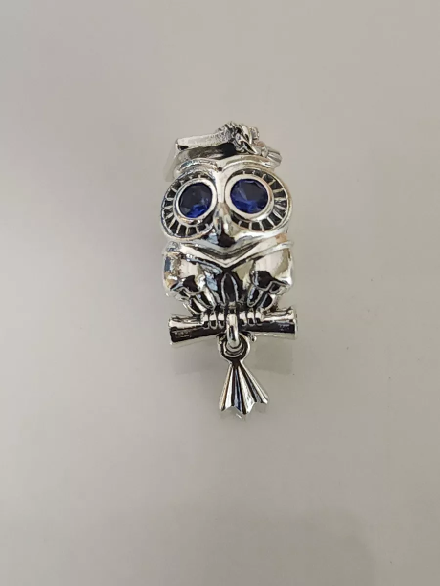 Graduation owl pandora best sale charm