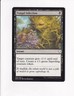2018 VINTAGE MAGIC THE GATHERING MTG FUNGAL INFECTION (#2) (PdC)