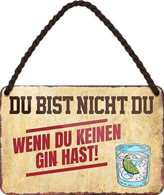 Blechschild Alkohol lustiger Spruch  Du bist nicht du   Wenn du keinen GIN hast!