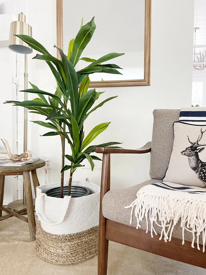 4’ Dracaena Artifical Plant w/75 Lvs Home Decor (Real Touch). Retail $89 - Image 4 of 4