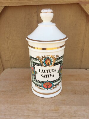 Pharmacy Apothecary Jar Lactuca Sativa Wild Lettuce Sleep Opium Substitute EMPTY