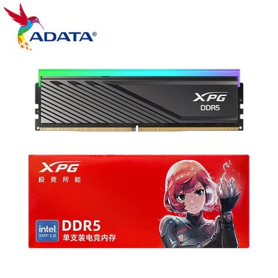 ADATA XPG LANCER Blade D300G RGB DDR5 MEMORY 16GB 6000MHz  16GB 6400MHz 32GB