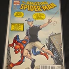 Marvel Comics The Amazing Spider-Man #669 Variant Edition Slott Ramos Cuevas