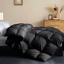 Size Feather Down Fiber Comforter - All Season Black Twin Black/All Season