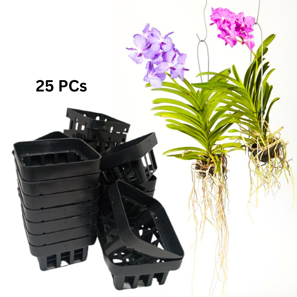 25 Pcs Black Plastic Square Orchid Pot Mesh Baskets for Vanda Hanging Garden Décor
