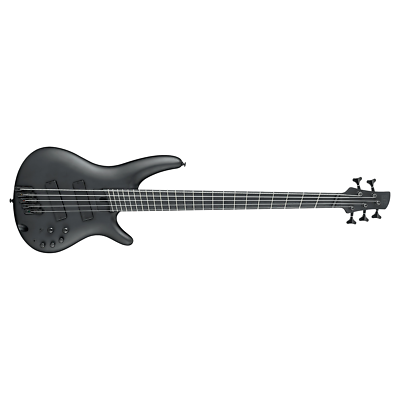 Ibanez SRMS625EX SR Iron Label 5-String Bass, Ebonol Fretboard