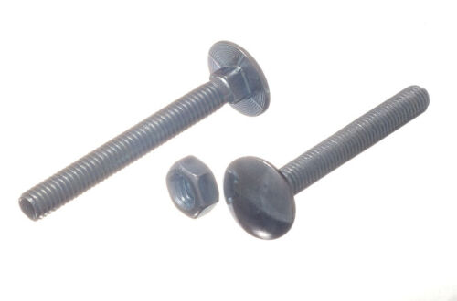 NEW 500 X M75mm BZP Steel Carriage Bolts with Nuts for Construction - OneStopDIY