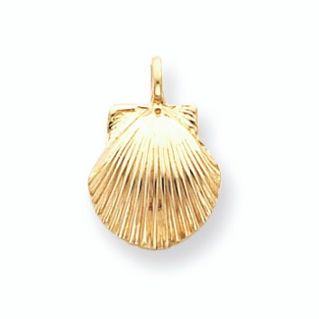 Massiver Gold Muschel Charm (erhältlich in Gelb/Weißgold)