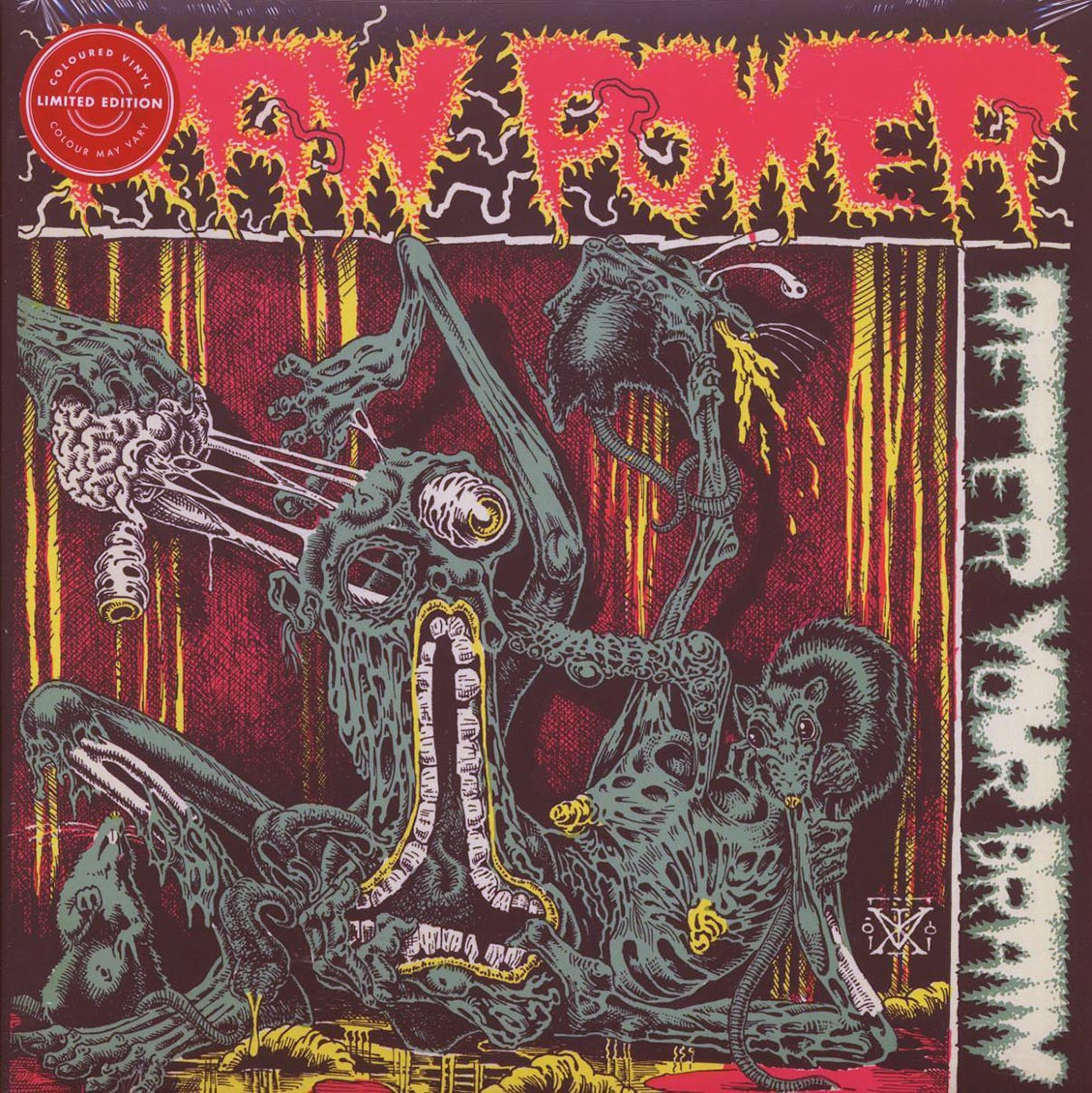 VINYL Raw Power - После вашего мозга