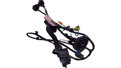 GM HARNESS ASM-RR S/D DR WRG 25910866 NEW OEM 25910866