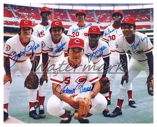 MLB 1970's Big Red Machine Starting 8 Rose Bench REPRINT Autograph 8 X 10 Photo