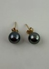 Shane Co 14K Gold Tahitian Pearl Necklace & Stud Earrings Set 9mm w/ Box Unworn — photo 3