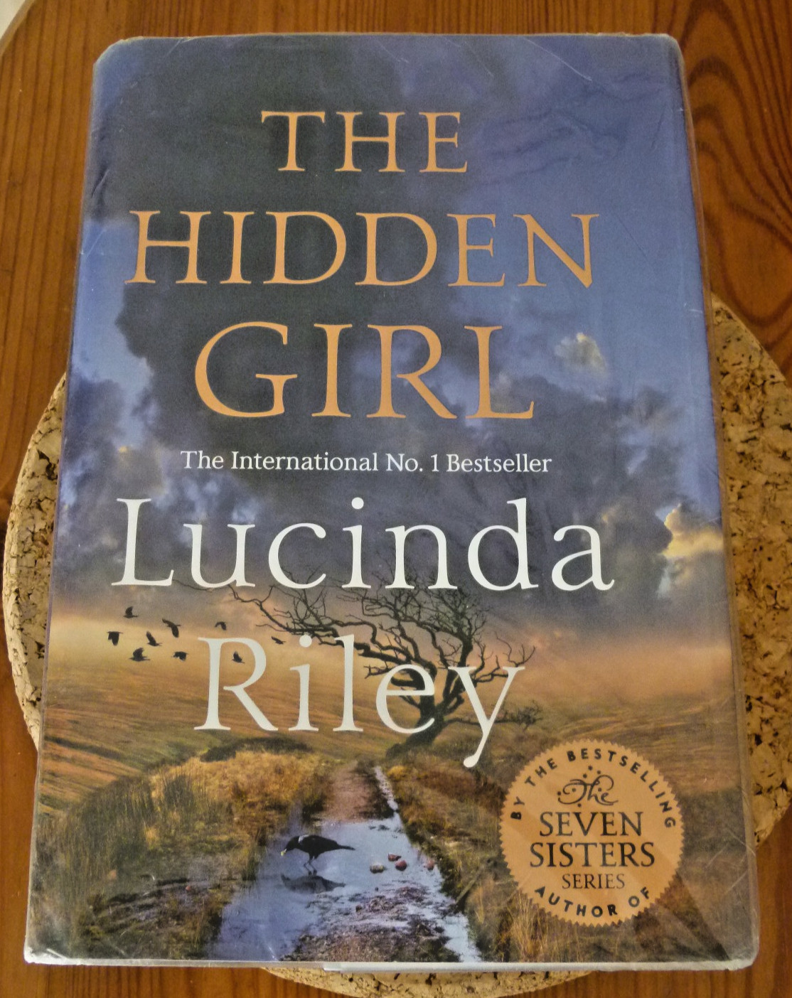 The Hidden Girl: Spellbinding  - Riley, Lucinda - 2024 - 1st edition Book ex Lib