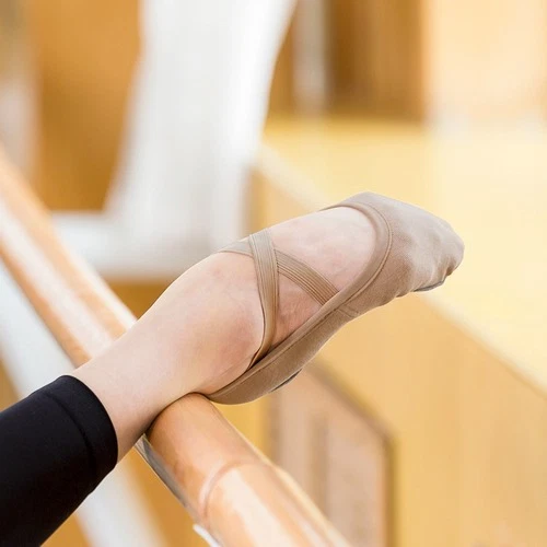 Ballet Shoes Women Pointe Shoes Ballet Stretch Dance Split Sole