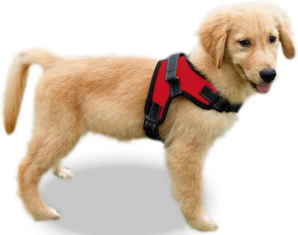 Dog Harness Small Sized Dogs - All Weather Mesh Overhead Adjustable No Pull Vest