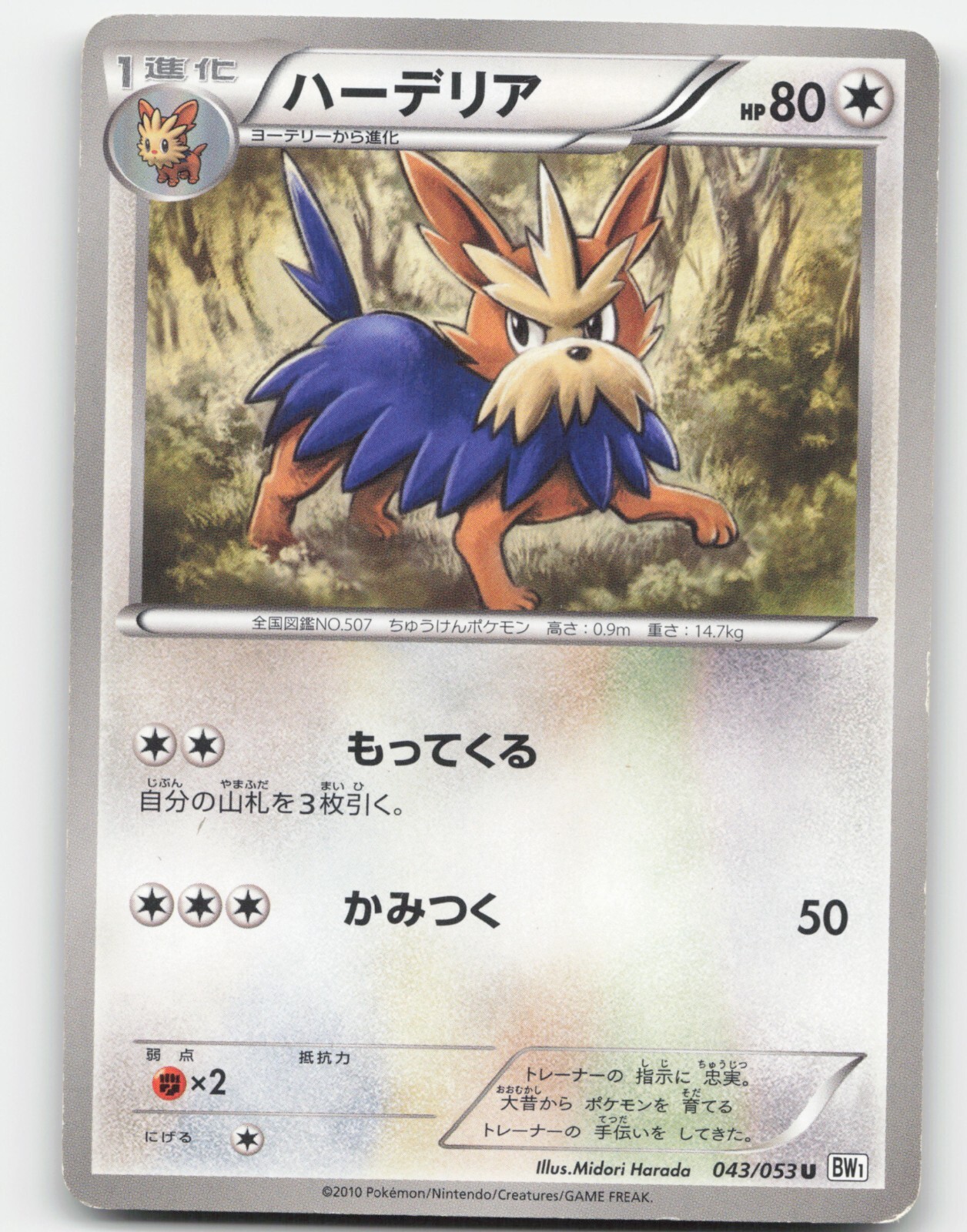 HERDIER 043/053 POKEMON JAPANESE 2010 WHITE COLLECTION NM