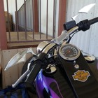 Picture 11 of 12