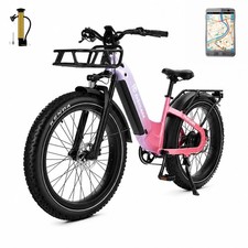 Electric vehicle E-bike 48V 20Ah 45km/h 150KM+APP GPS