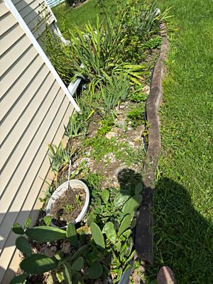 Hello if anybody is looking to get any mulch laid please contact me for free Quo